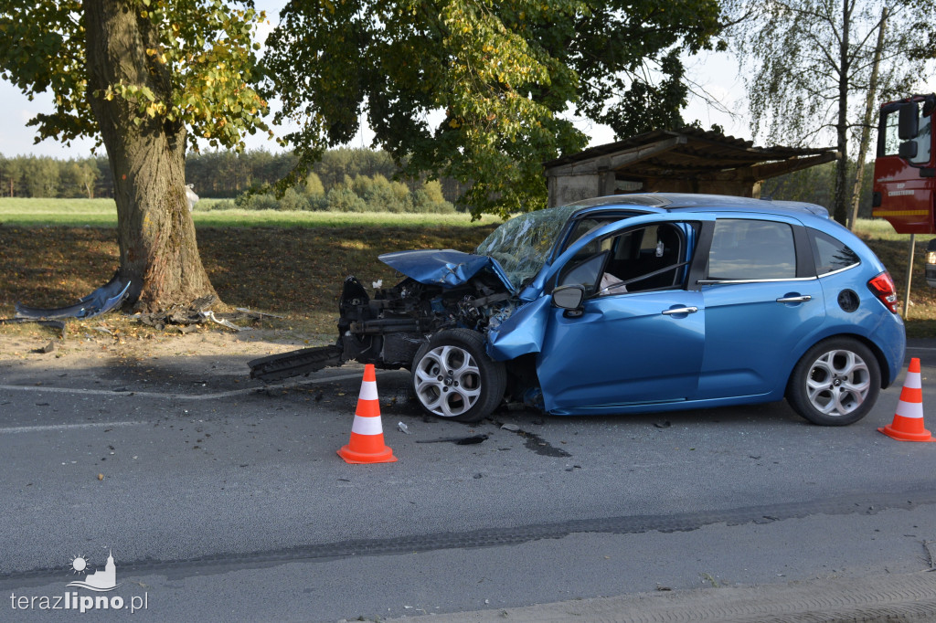 Groźny wypadek w Adamowie