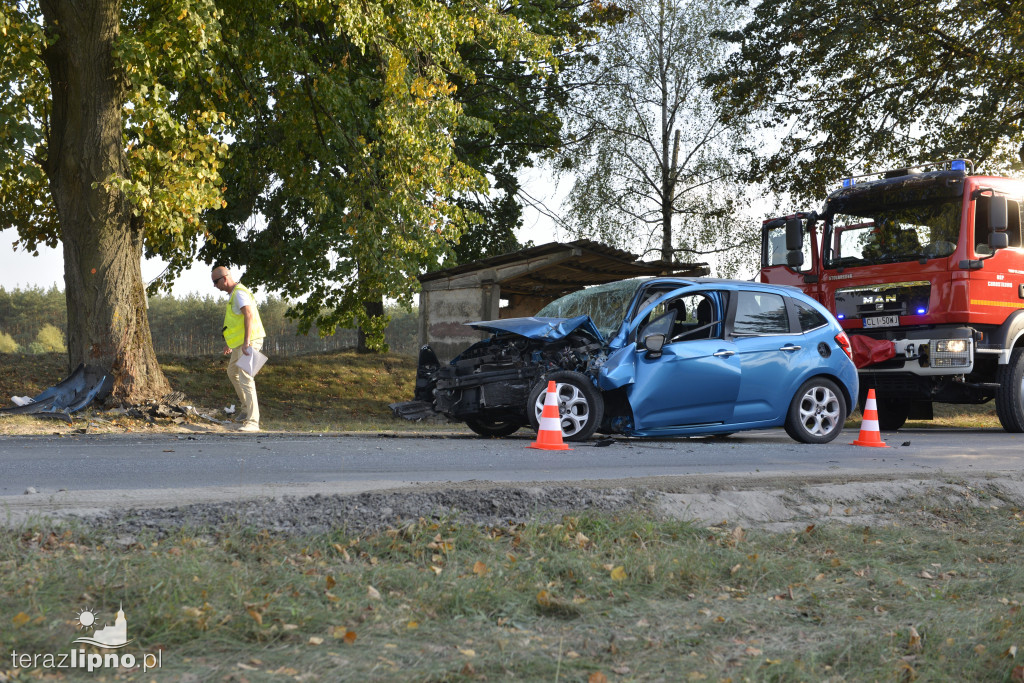 Groźny wypadek w Adamowie