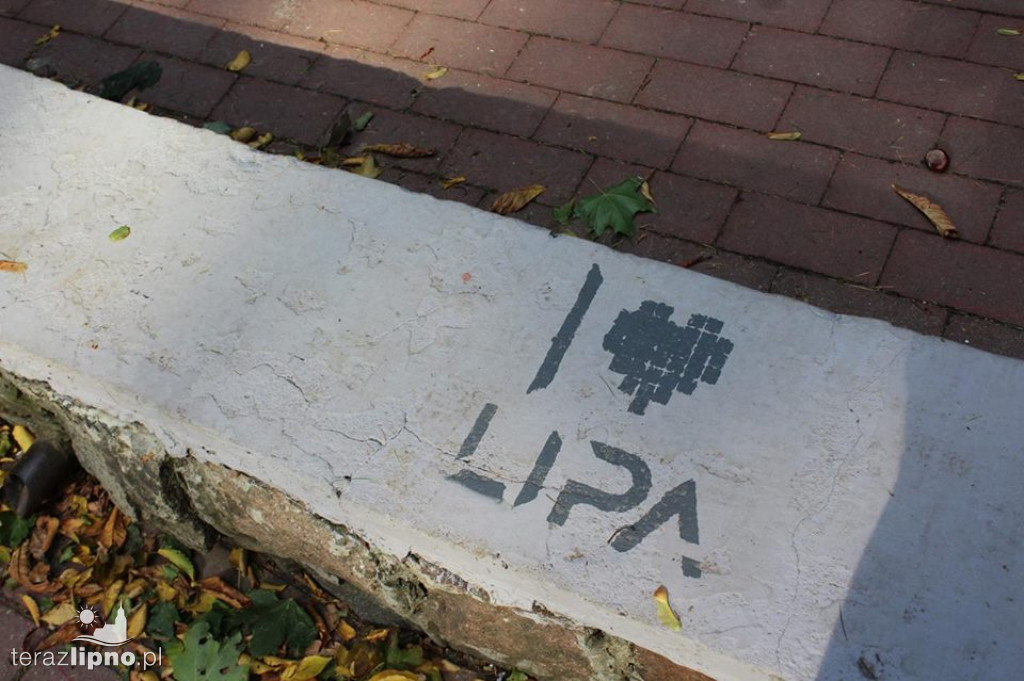 Muszla w parku miejskim po remoncie