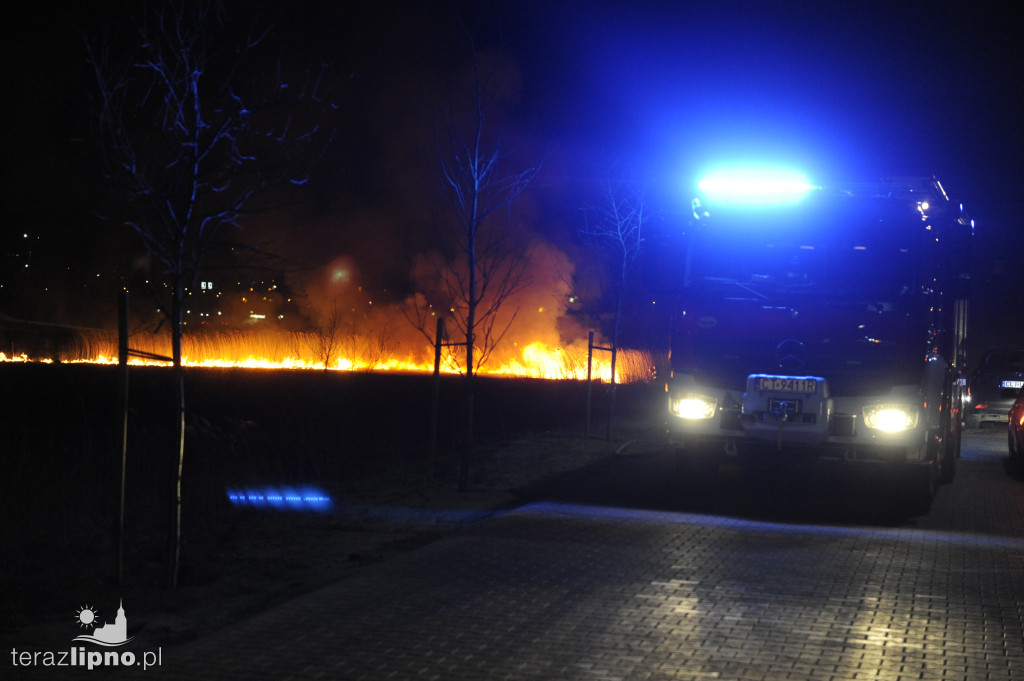 Pożar traw przy ulicy Cegelnej w Lipnie