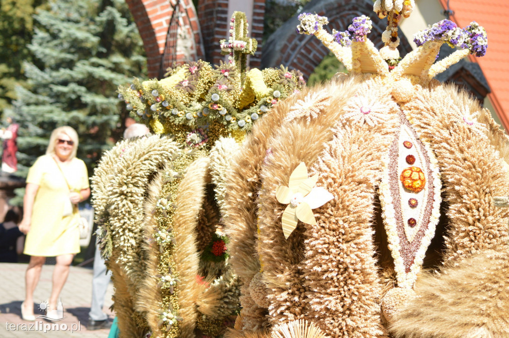 Dożynki Powiatowo-Gminne 2019