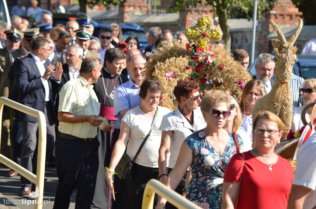 Dożynki Powiatowo-Gminne 2019