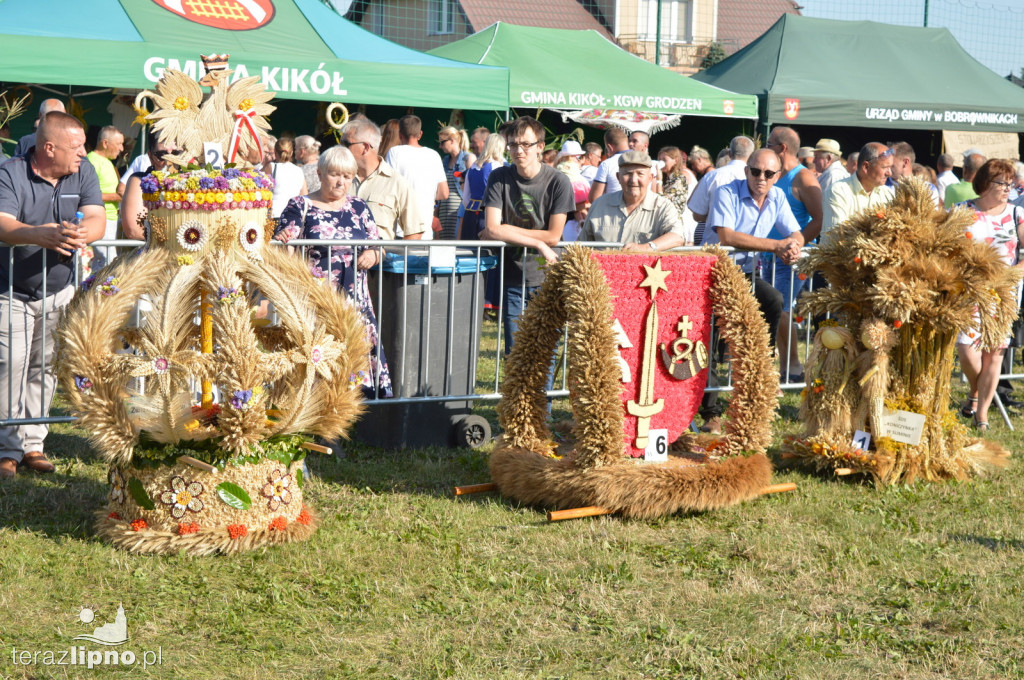 Dożynki Powiatowo-Gminne 2019