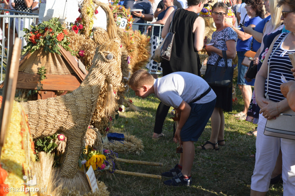 Dożynki Powiatowo-Gminne 2019