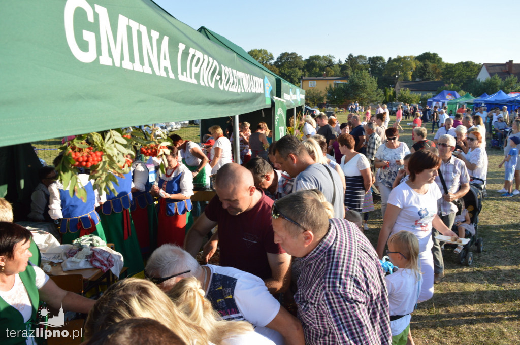 Dożynki Powiatowo-Gminne 2019