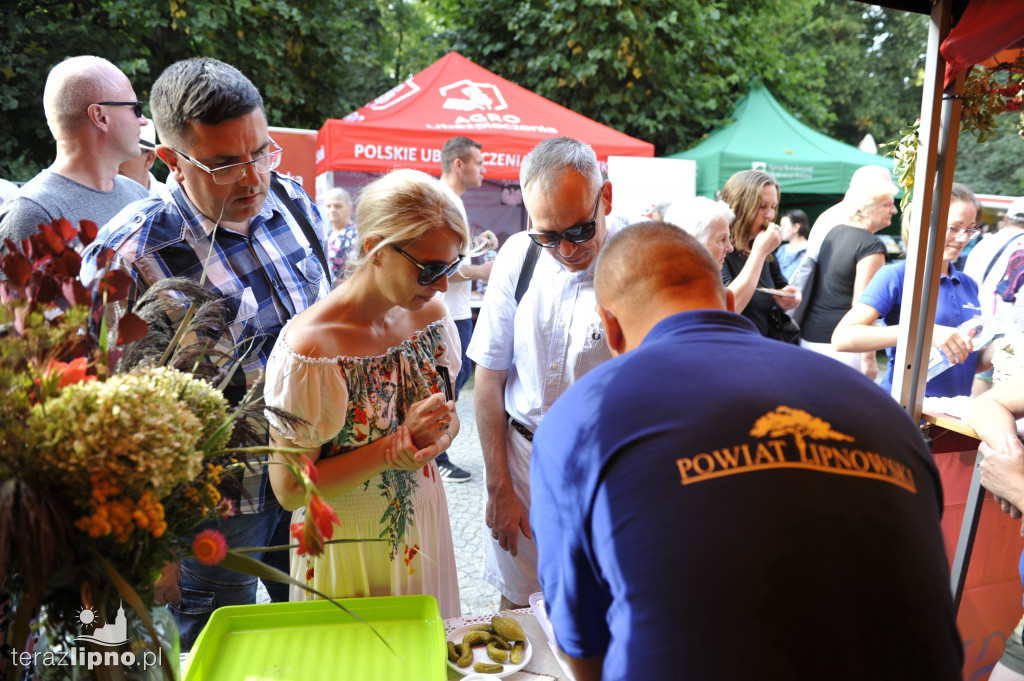 Dożynki wojewódzkie w Ciechocinku