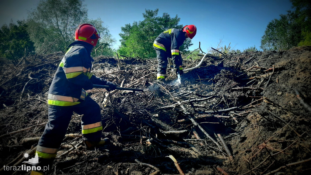 Pożar w Parku Miejskim im. G. Narutowicza