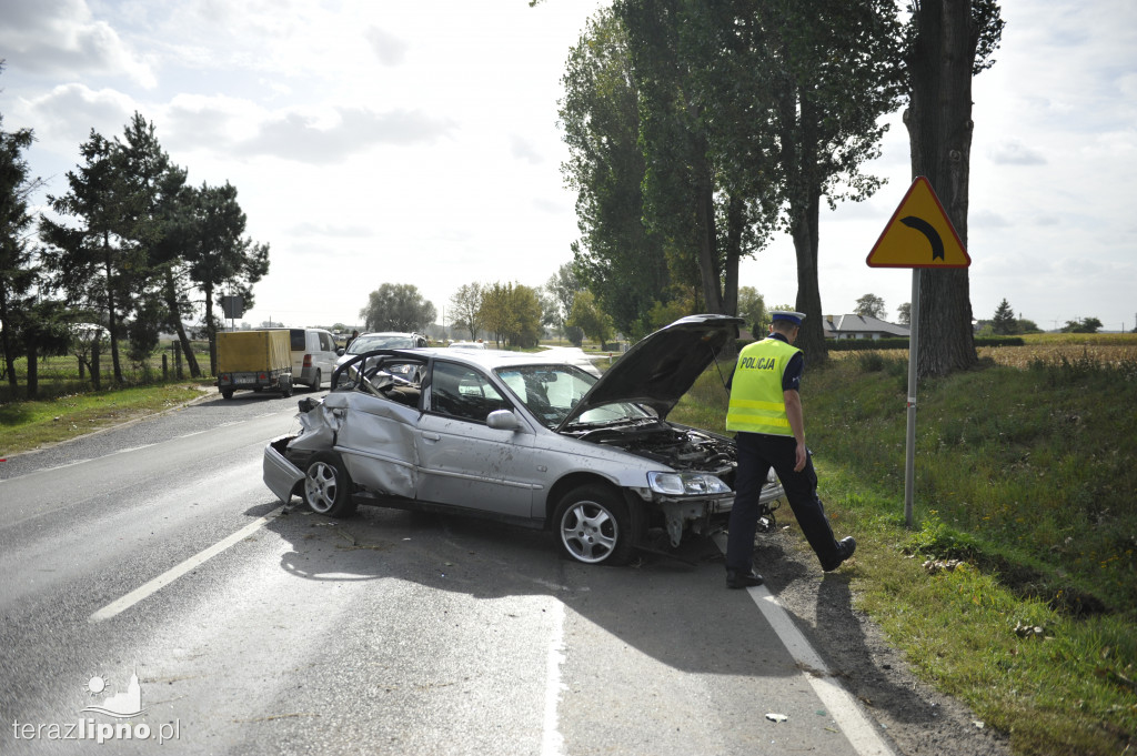 Groźne zdarzenie w Borku (DK67)