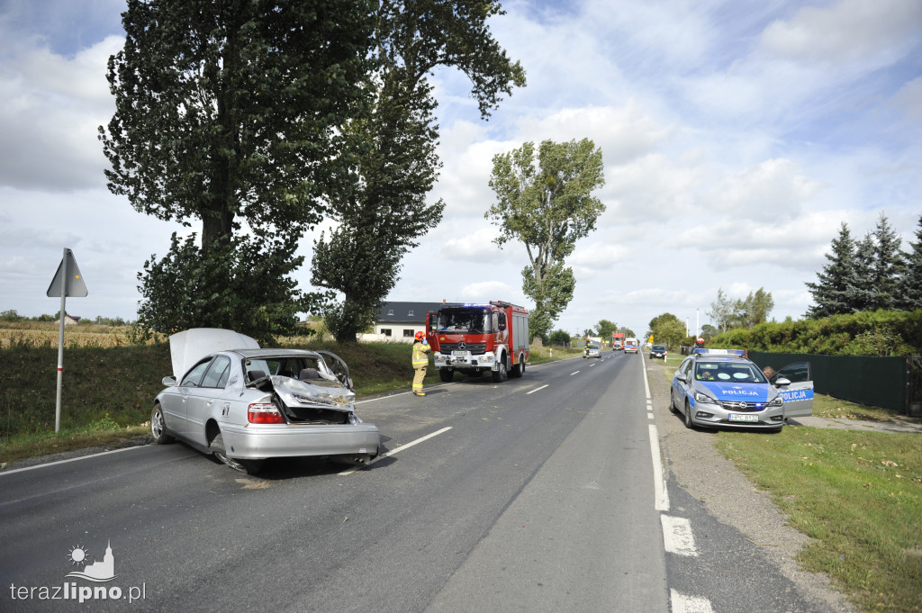 Groźne zdarzenie w Borku (DK67)