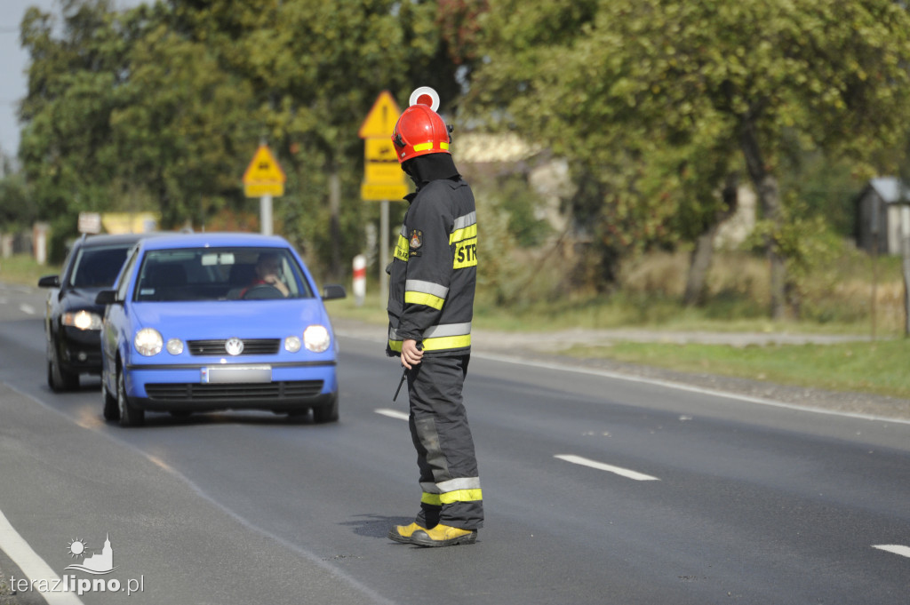 Groźne zdarzenie w Borku (DK67)