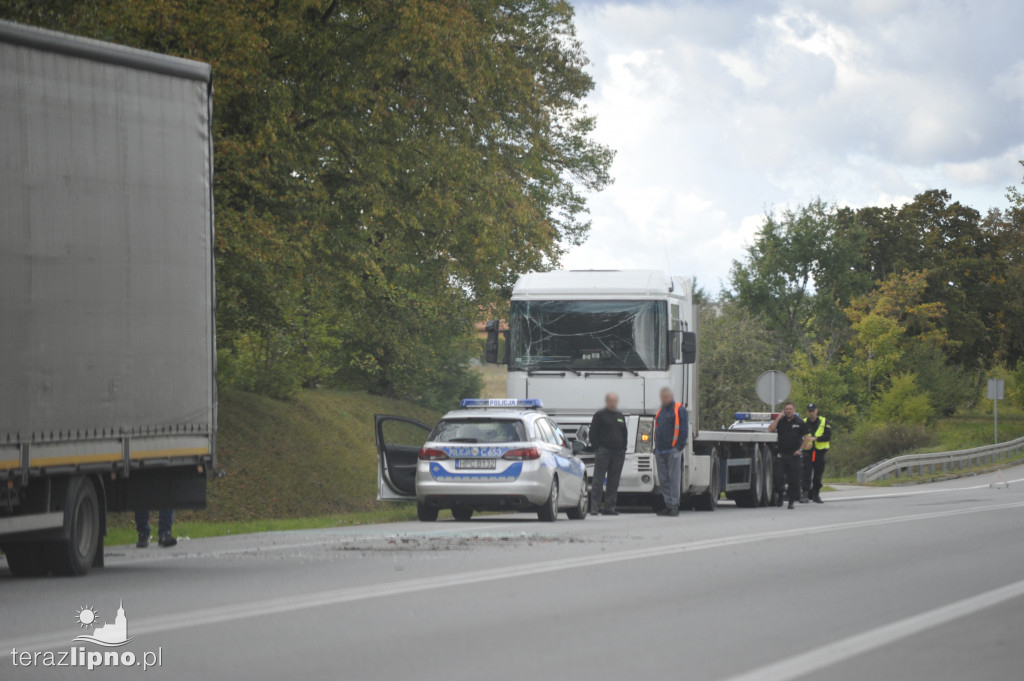 Zderzenie pięciu pojazdów na DK 10