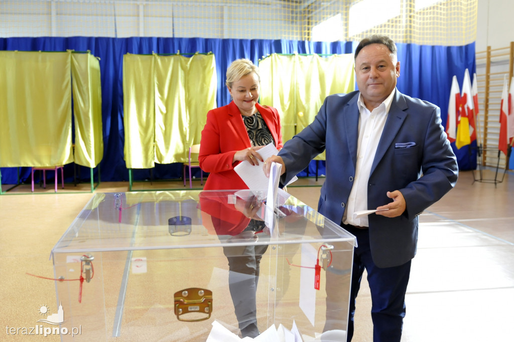 Wybory parlamentarne 2019