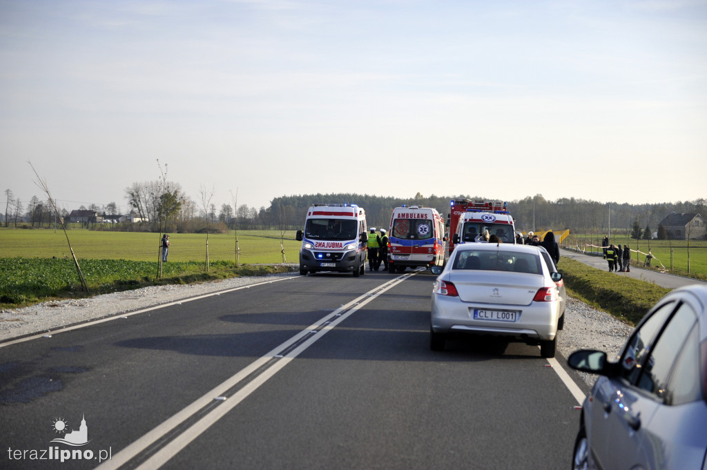 Groźne zdarzenie na DW 559
