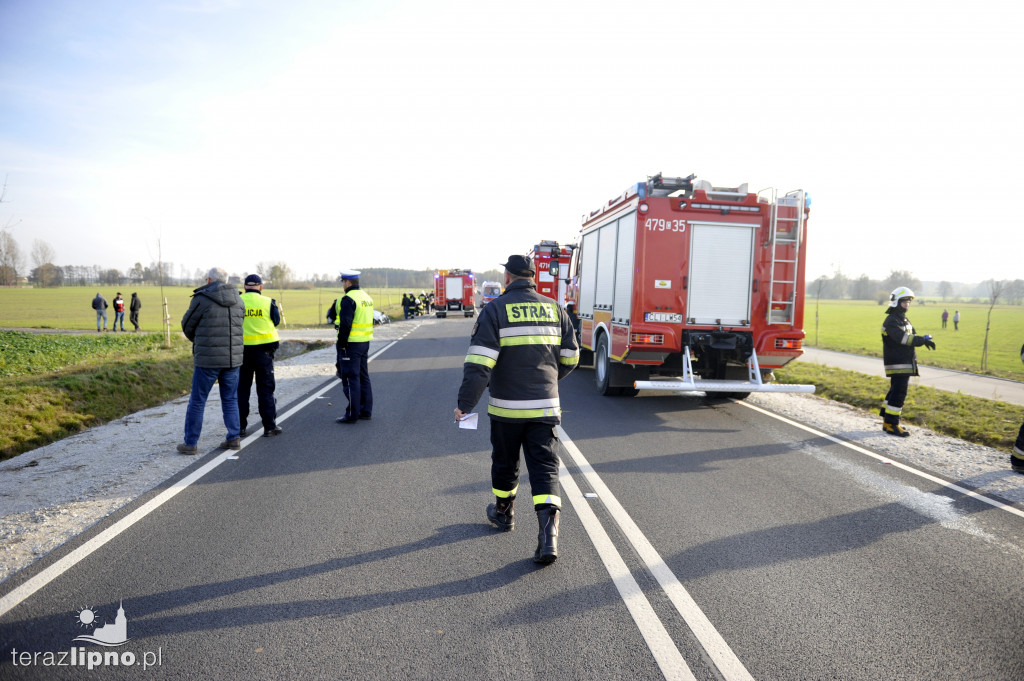 Groźne zdarzenie na DW 559