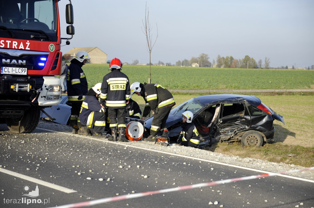 Groźne zdarzenie na DW 559