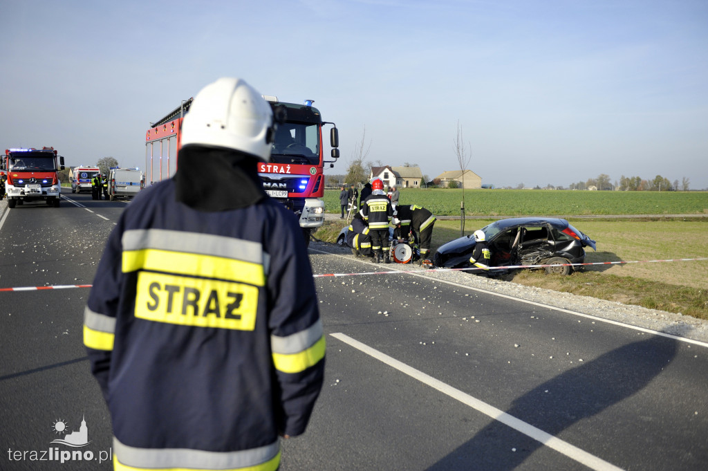 Groźne zdarzenie na DW 559
