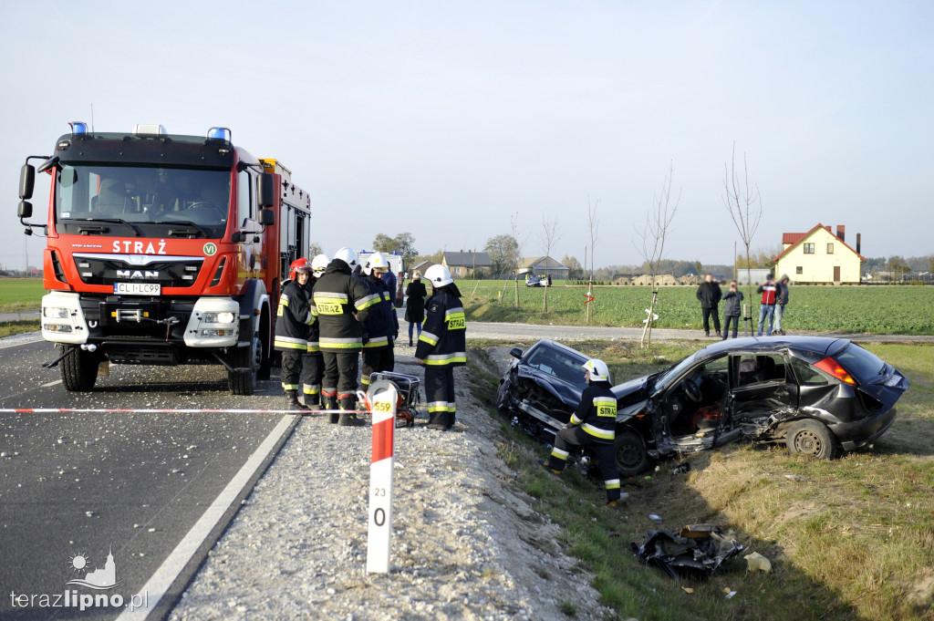 Groźne zdarzenie na DW 559