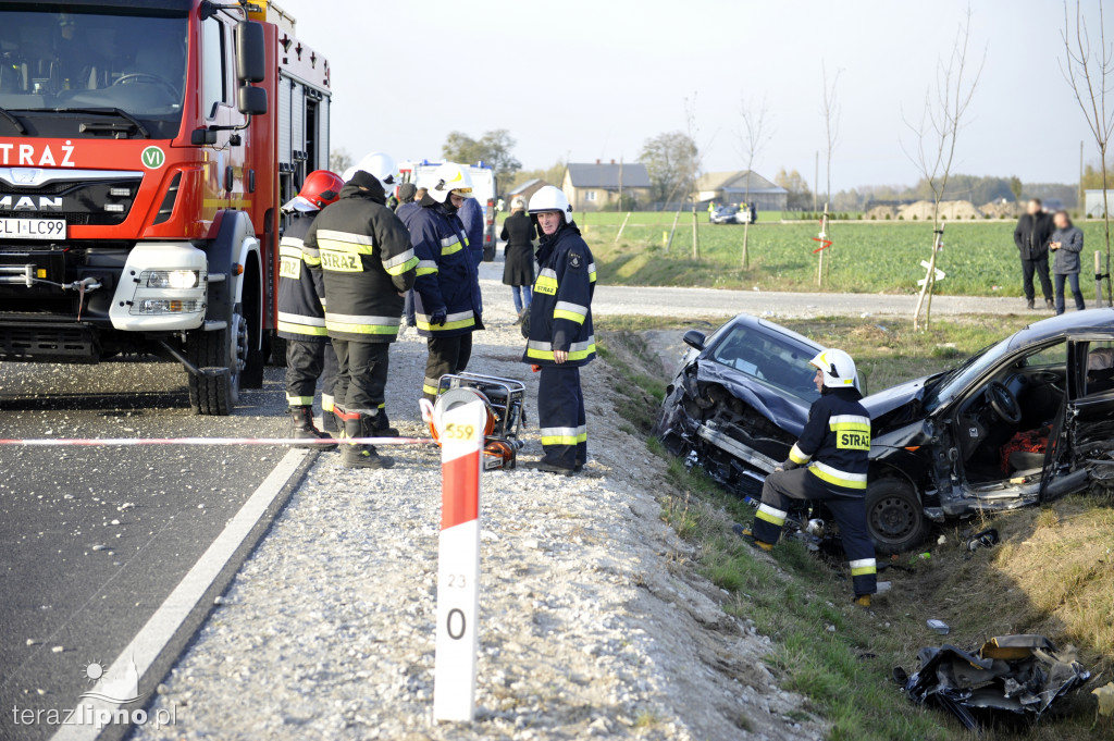 Groźne zdarzenie na DW 559