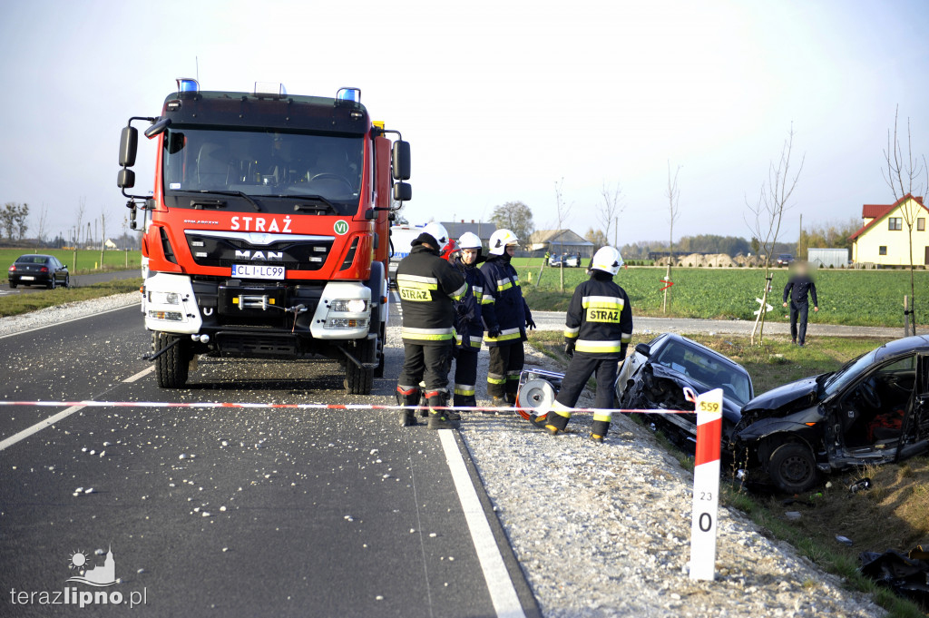 Groźne zdarzenie na DW 559