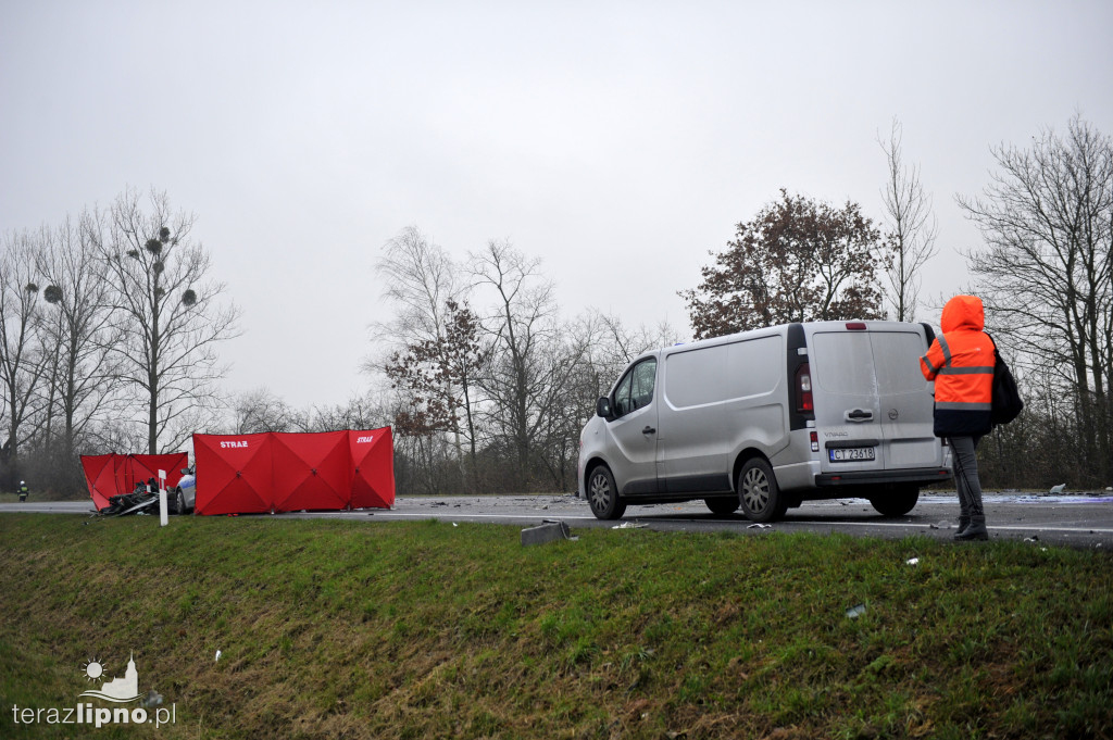 Tragiczny wypadek w Steklinie (DK 10)