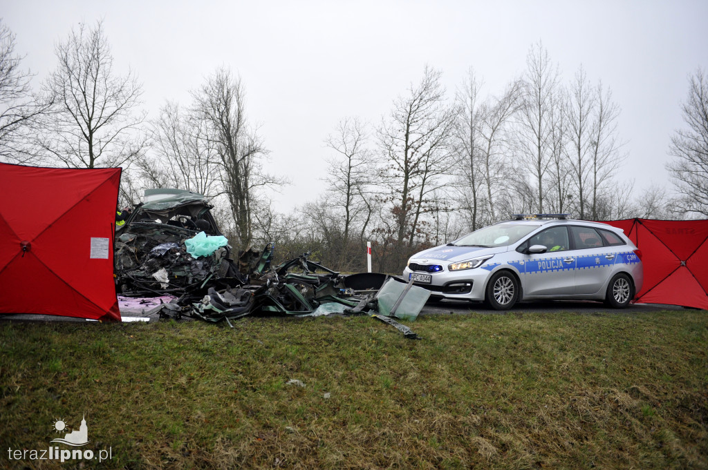 Tragiczny wypadek w Steklinie (DK 10)