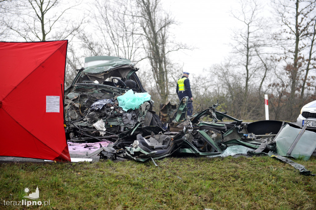 Tragiczny wypadek w Steklinie (DK 10)