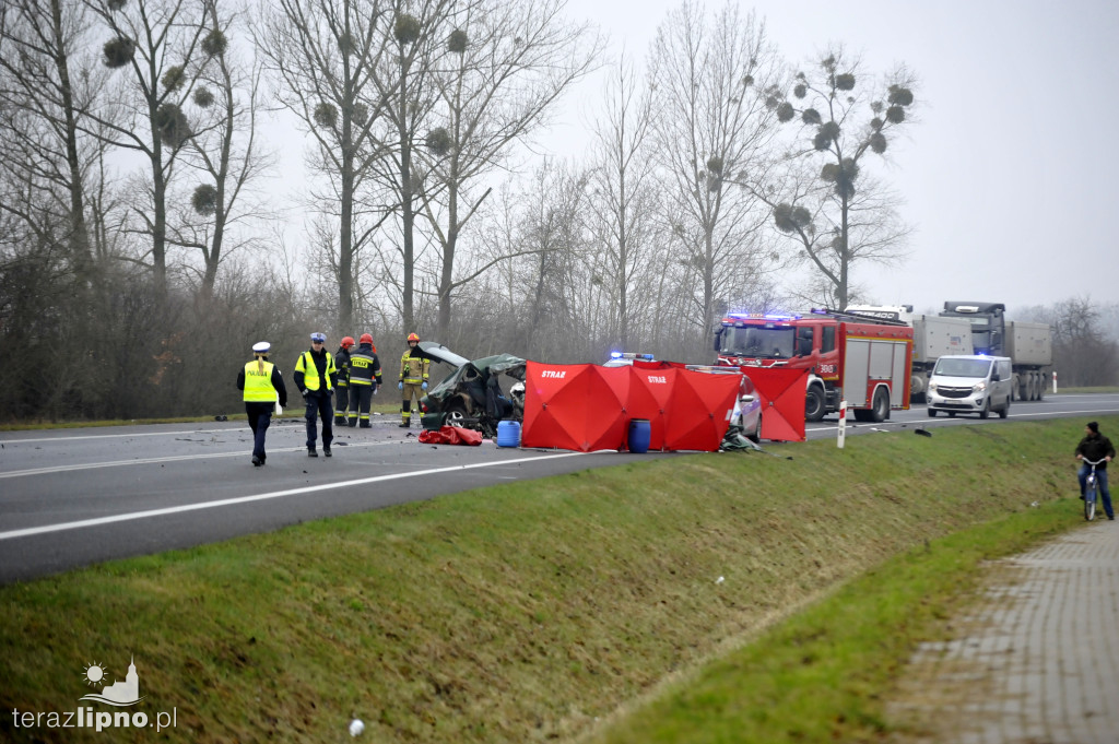 Tragiczny wypadek w Steklinie (DK 10)