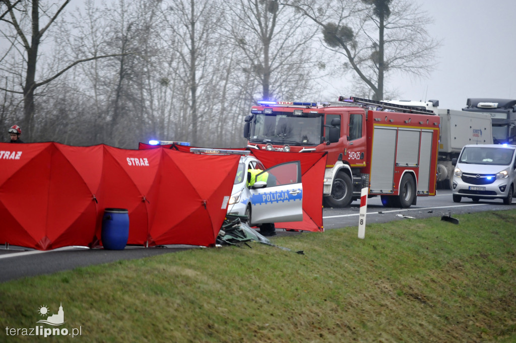 Tragiczny wypadek w Steklinie (DK 10)