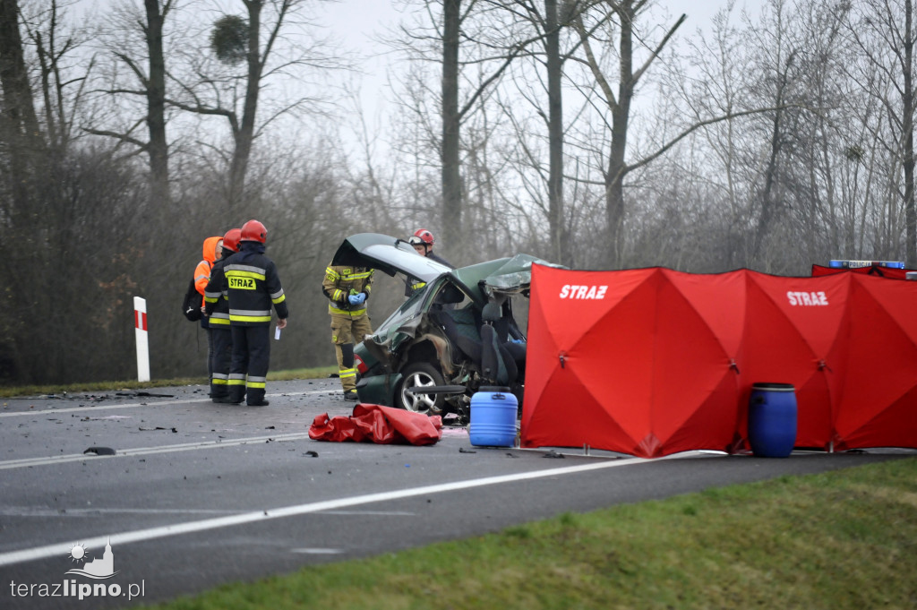 Tragiczny wypadek w Steklinie (DK 10)