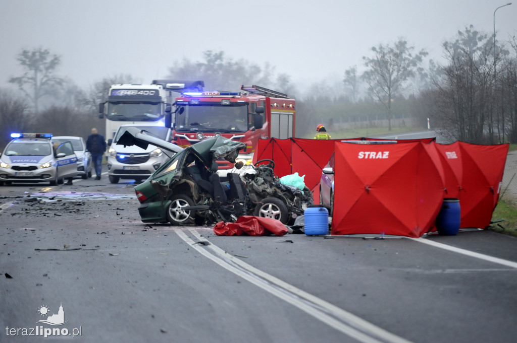 Tragiczny wypadek w Steklinie (DK 10)