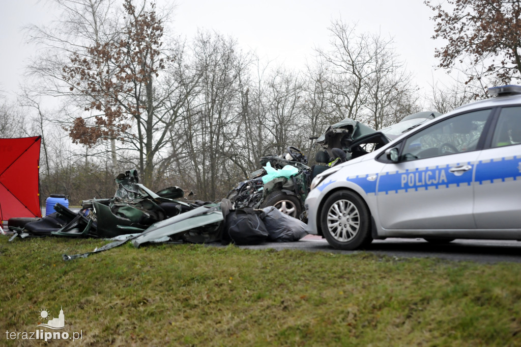 Tragiczny wypadek w Steklinie (DK 10)
