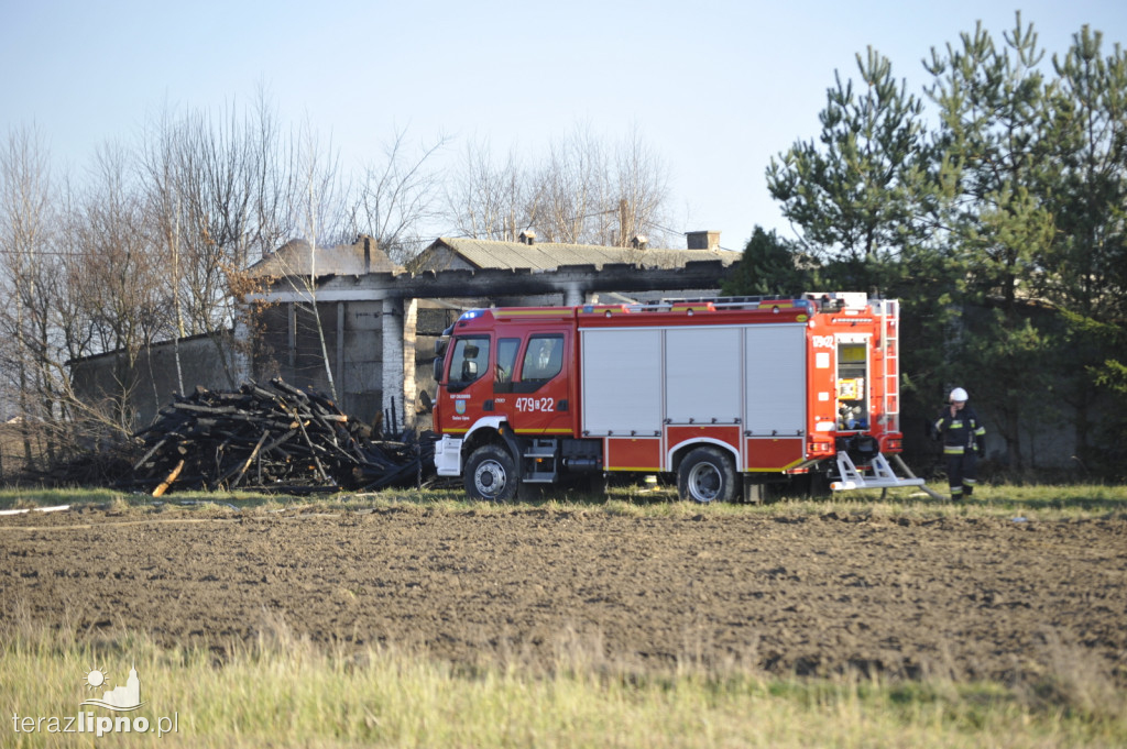 Pożar budynku gospodarczego w Jastrzębiu