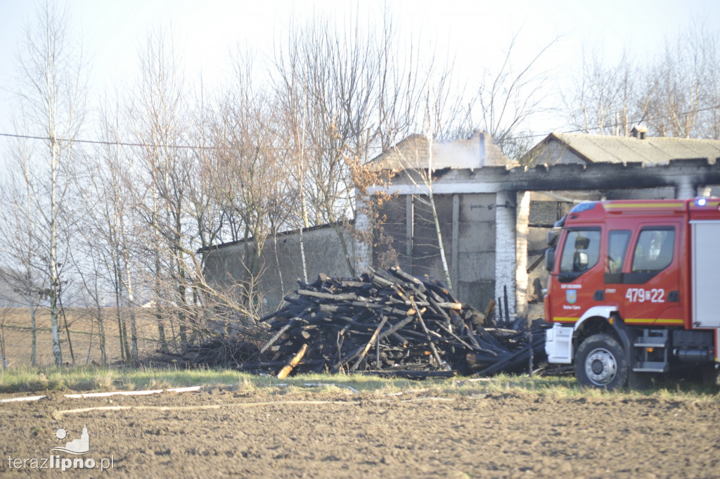 Pożar budynku gospodarczego w Jastrzębiu