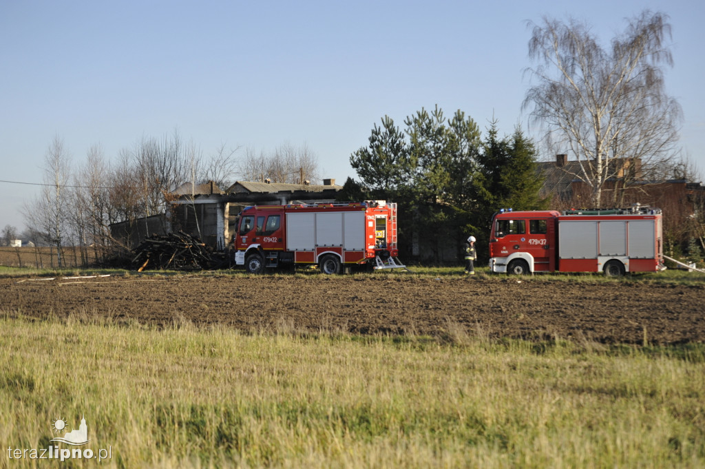 Pożar budynku gospodarczego w Jastrzębiu