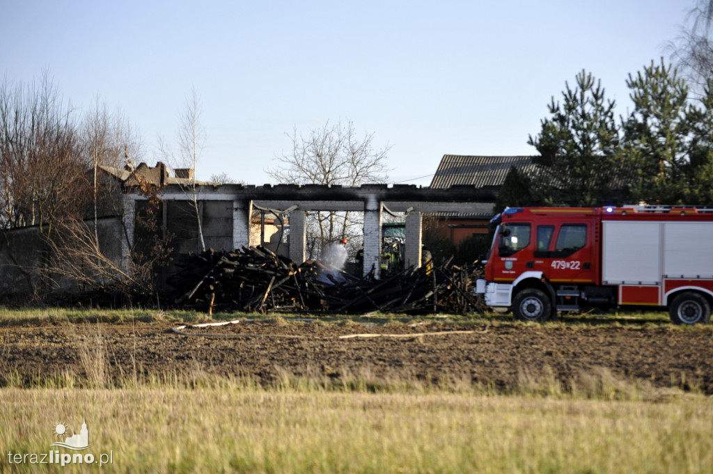 Pożar budynku gospodarczego w Jastrzębiu