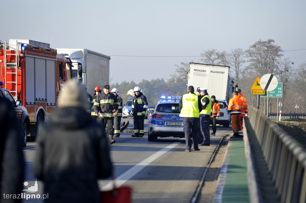 Śmiertelny wypadek na DK 10 w Lipnie