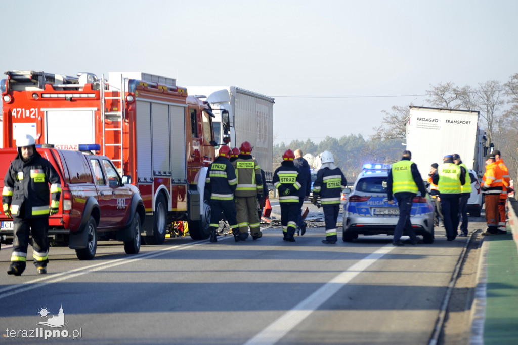 Śmiertelny wypadek na DK 10 w Lipnie