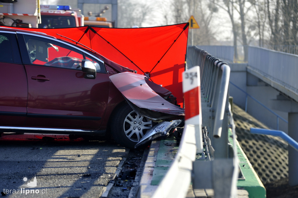 Śmiertelny wypadek na DK 10 w Lipnie