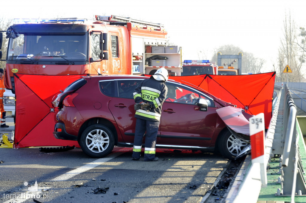 Śmiertelny wypadek na DK 10 w Lipnie