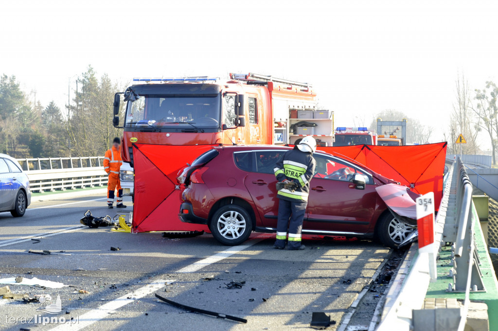 Śmiertelny wypadek na DK 10 w Lipnie