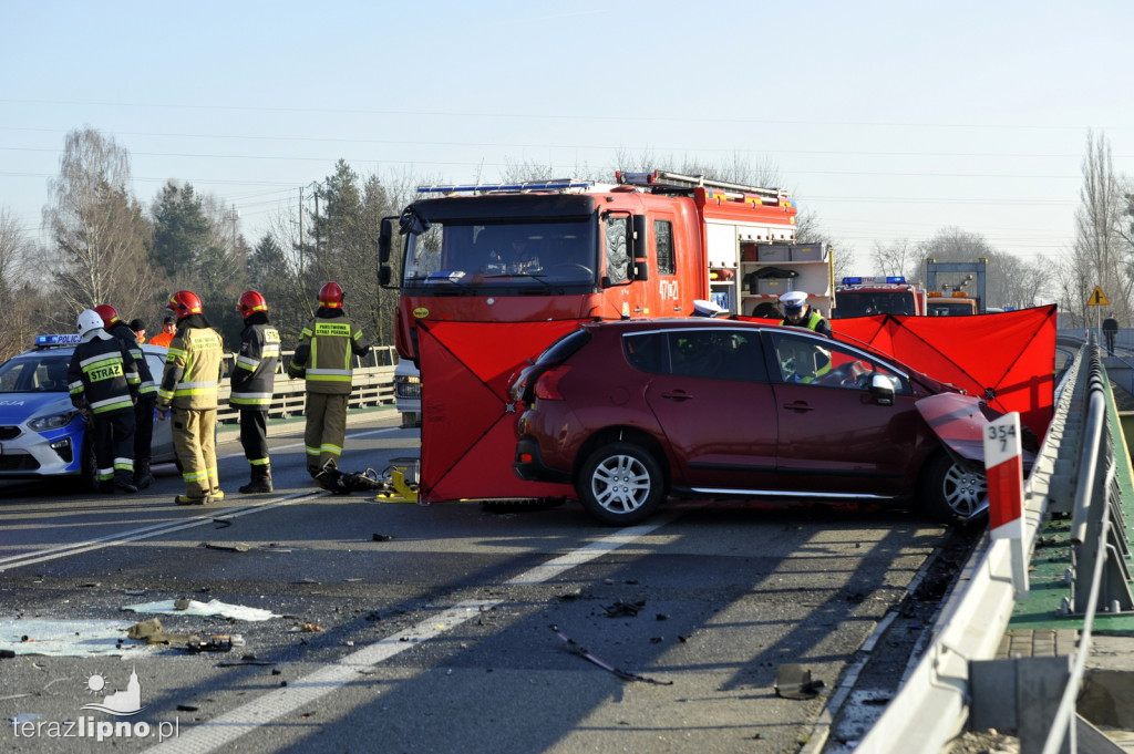 Śmiertelny wypadek na DK 10 w Lipnie