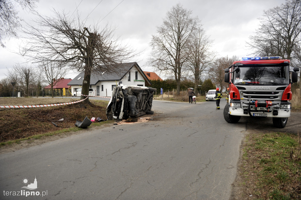 Bus uderzył w drzewo w Biskupinie