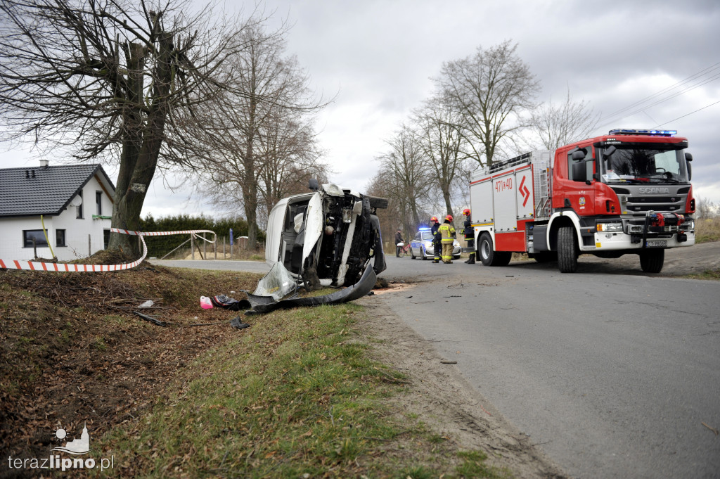Bus uderzył w drzewo w Biskupinie