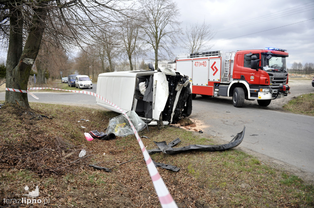 Bus uderzył w drzewo w Biskupinie
