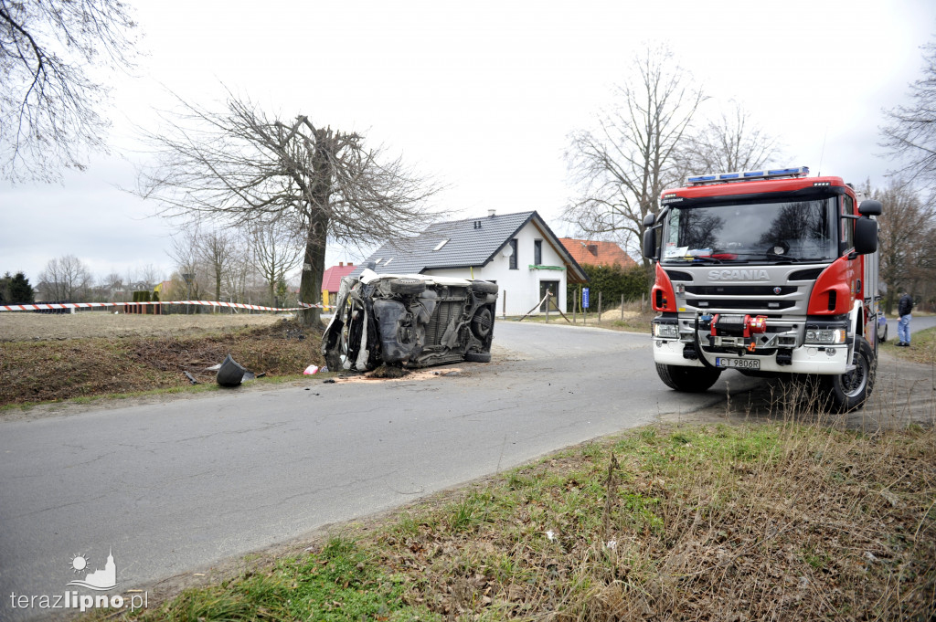 Bus uderzył w drzewo w Biskupinie