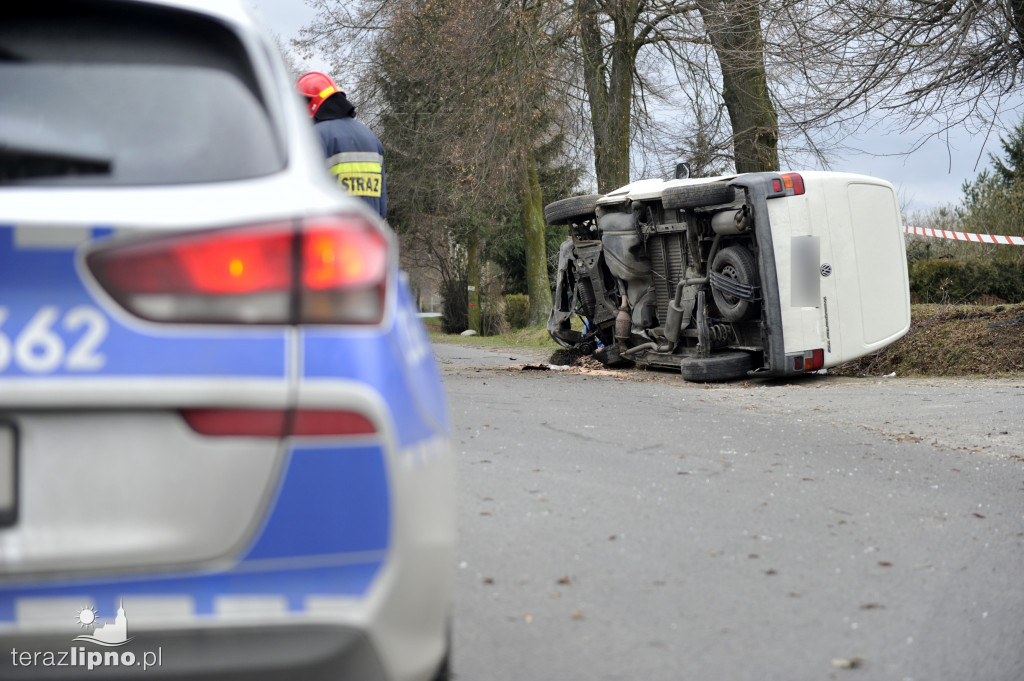 Bus uderzył w drzewo w Biskupinie