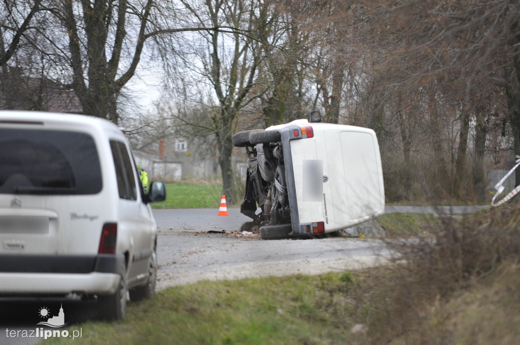 Bus uderzył w drzewo w Biskupinie
