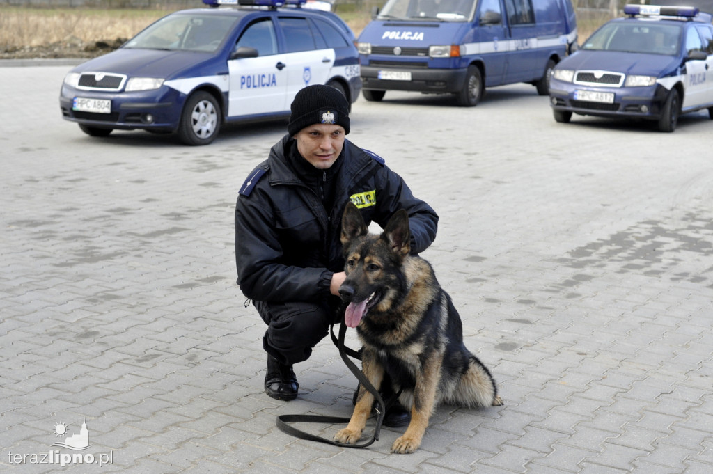 Szkolenie psów policyjnych w PUK Arenie