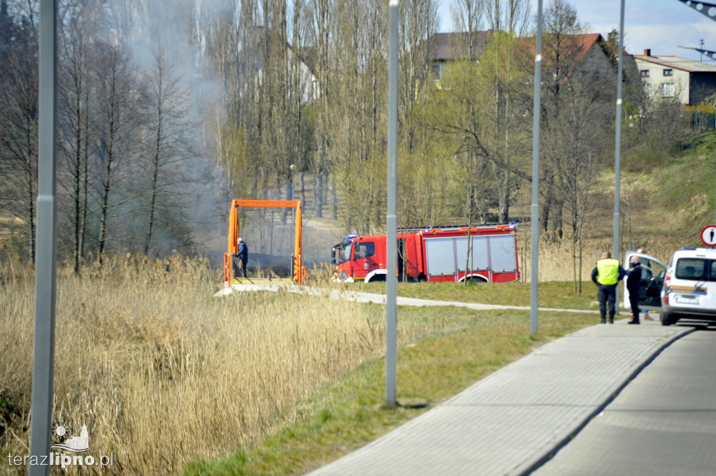 Spłonęły cztery hektary traw w Lipnie