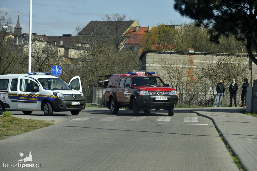 Spłonęły cztery hektary traw w Lipnie